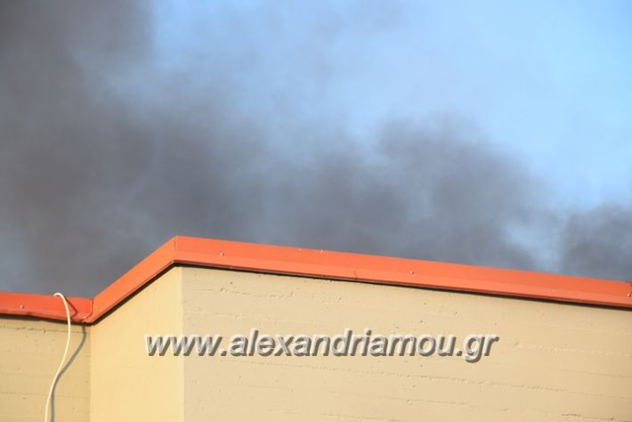 alexandriamou_fotia23.06.17018
