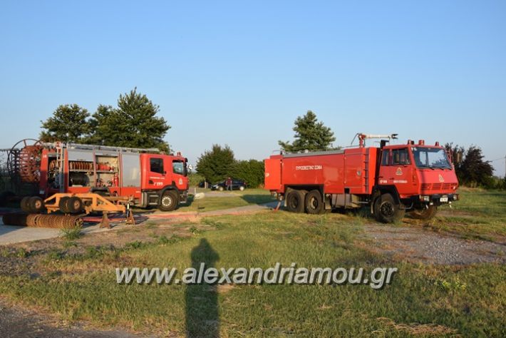 alexandriamou_fotia23.06.17020