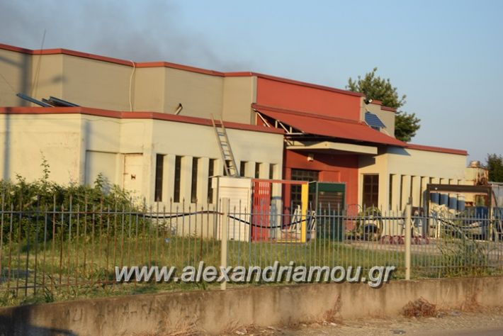 alexandriamou_fotia23.06.17040