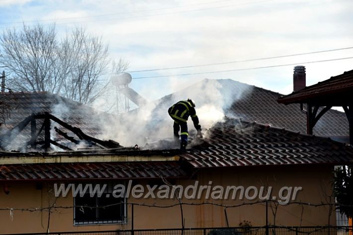 alexandriamou.gr_fotia24.01.21DSC_0109