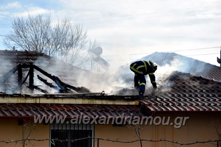 alexandriamou.gr_fotia24.01.21DSC_0111