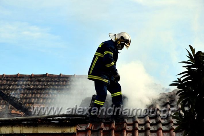 alexandriamou.gr_fotia24.01.21DSC_0116