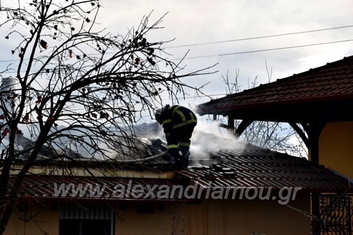 alexandriamou.gr_fotia24.01.21DSC_0121