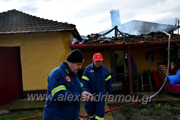 alexandriamou.gr_fotia24.01.21DSC_0126