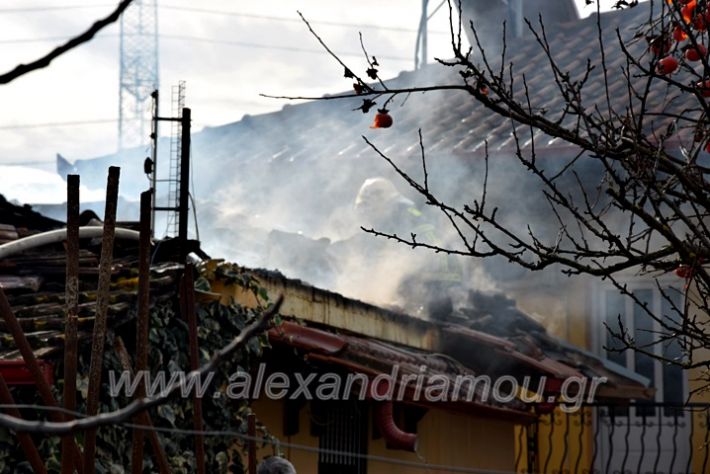 alexandriamou.gr_fotia24.01.21DSC_0130