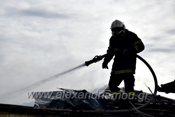 alexandriamou.gr_fotia24.01.21DSC_0147