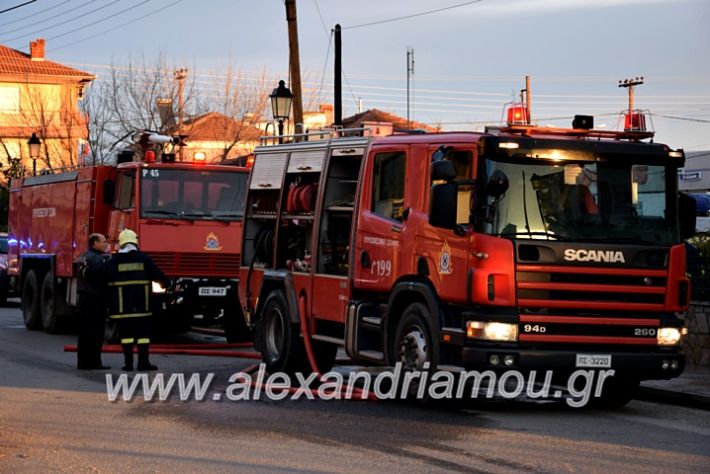 alexandriamou.gr_fotia2711DSC_0027