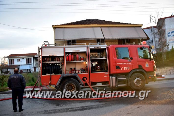 alexandriamou.gr_fotia2711DSC_0030