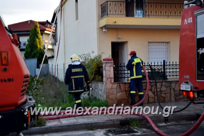 alexandriamou.gr_fotia2711DSC_0031