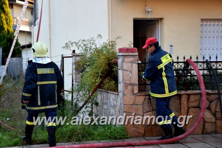 alexandriamou.gr_fotia2711DSC_0032