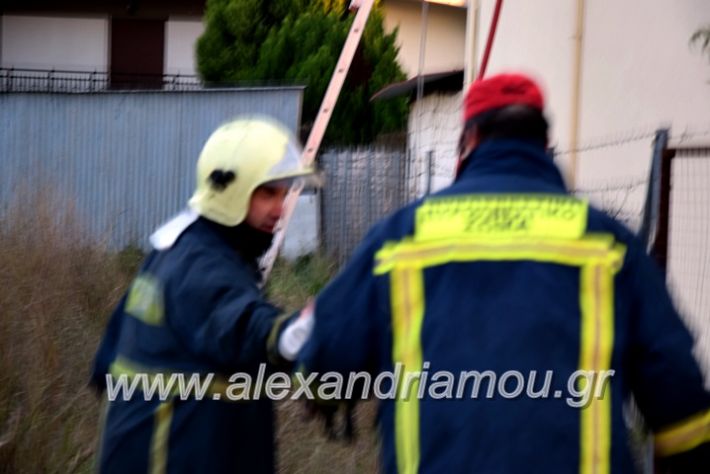 alexandriamou.gr_fotia2711DSC_0033