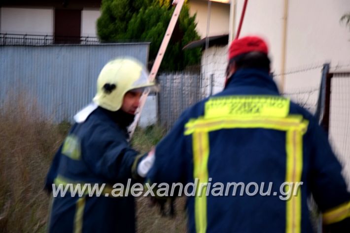 alexandriamou.gr_fotia2711DSC_0033