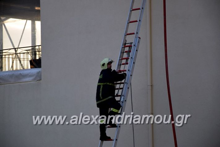 alexandriamou.gr_fotia2711DSC_0035