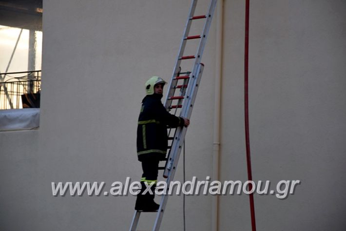 alexandriamou.gr_fotia2711DSC_0038