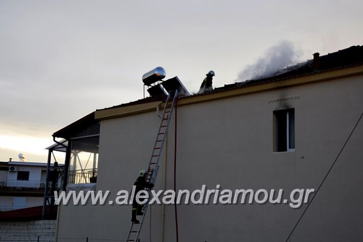 alexandriamou.gr_fotia2711DSC_0040