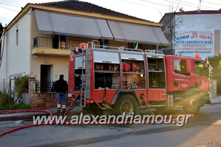 alexandriamou.gr_fotia2711DSC_0043