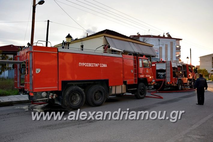 alexandriamou.gr_fotia2711DSC_0044