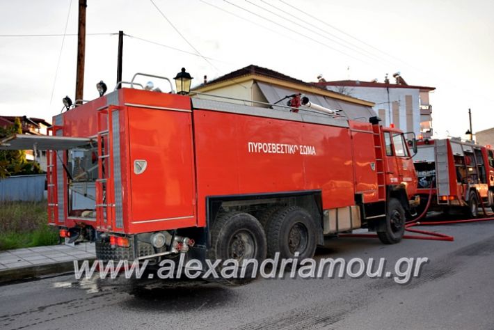 alexandriamou.gr_fotia2711DSC_0045