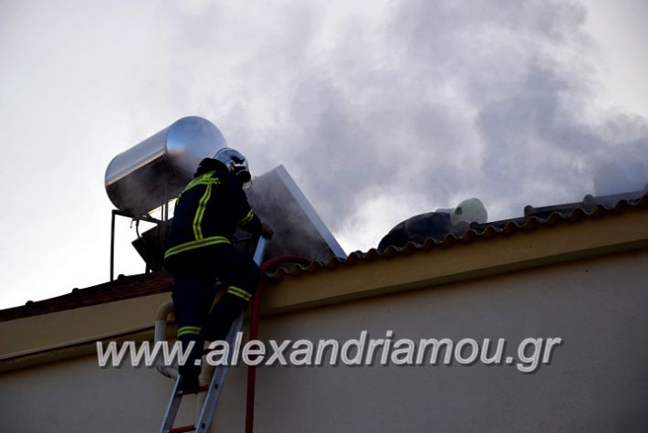 alexandriamou.gr_fotia2711DSC_0046