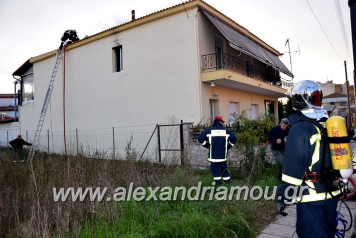 alexandriamou.gr_fotia2711DSC_0047