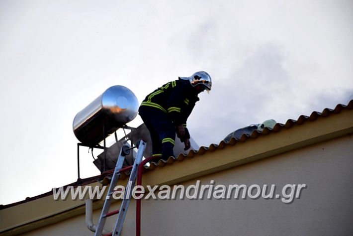 alexandriamou.gr_fotia2711DSC_0051