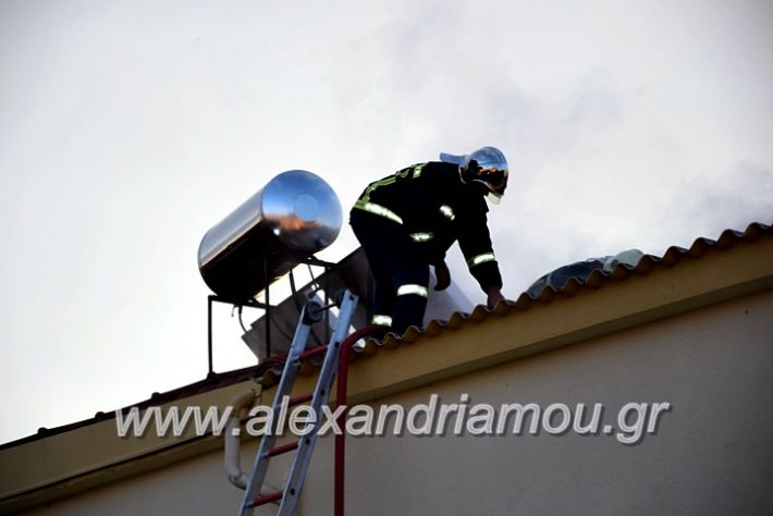 alexandriamou.gr_fotia2711DSC_0052