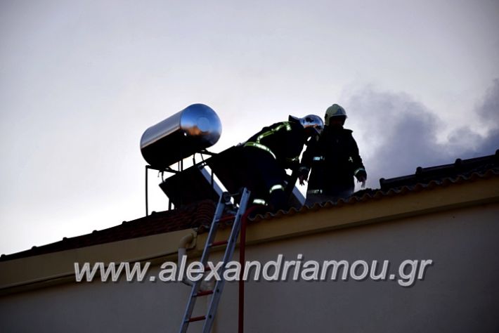 alexandriamou.gr_fotia2711DSC_0053