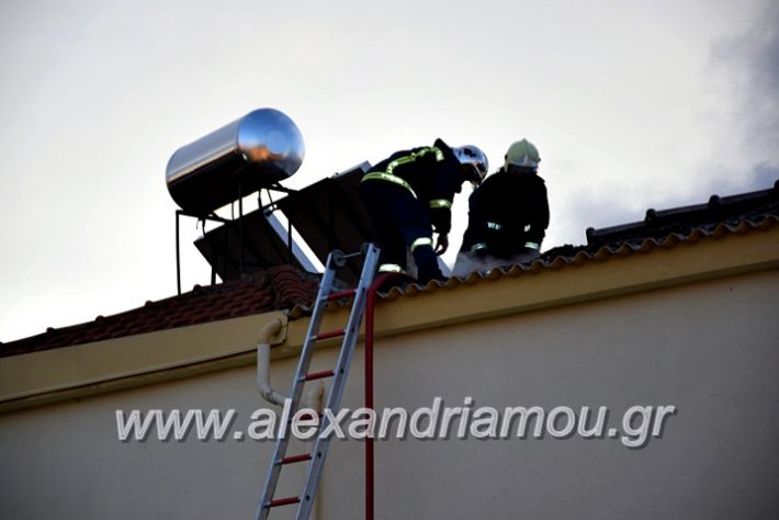 alexandriamou.gr_fotia2711DSC_0054