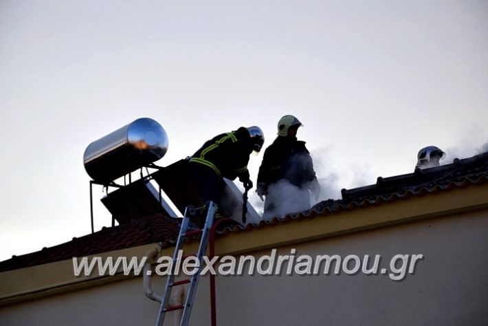 alexandriamou.gr_fotia2711DSC_0057