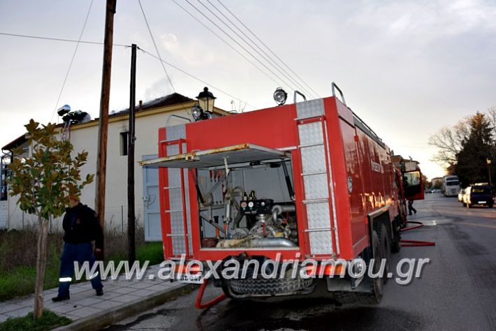 alexandriamou.gr_fotia2711DSC_0058