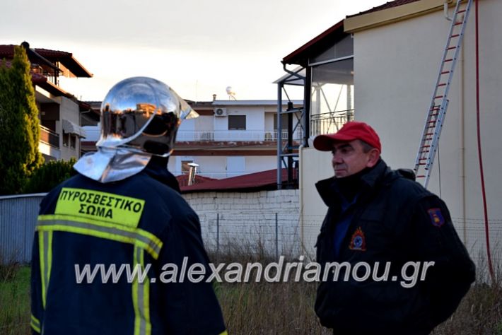 alexandriamou.gr_fotia2711DSC_0059