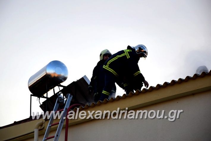 alexandriamou.gr_fotia2711DSC_0062