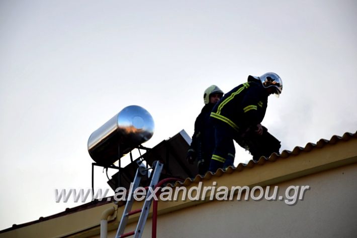 alexandriamou.gr_fotia2711DSC_0063