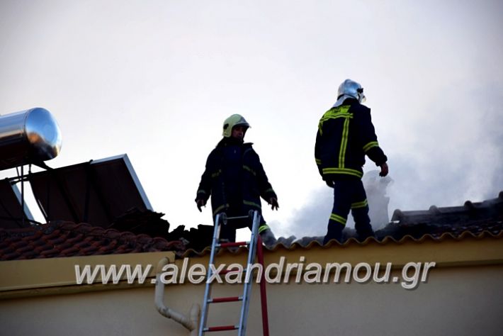 alexandriamou.gr_fotia2711DSC_0065