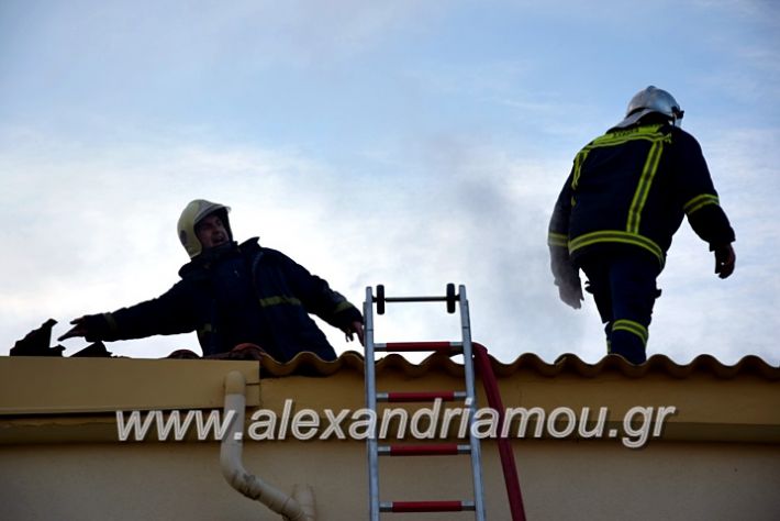 alexandriamou.gr_fotia2711DSC_0069