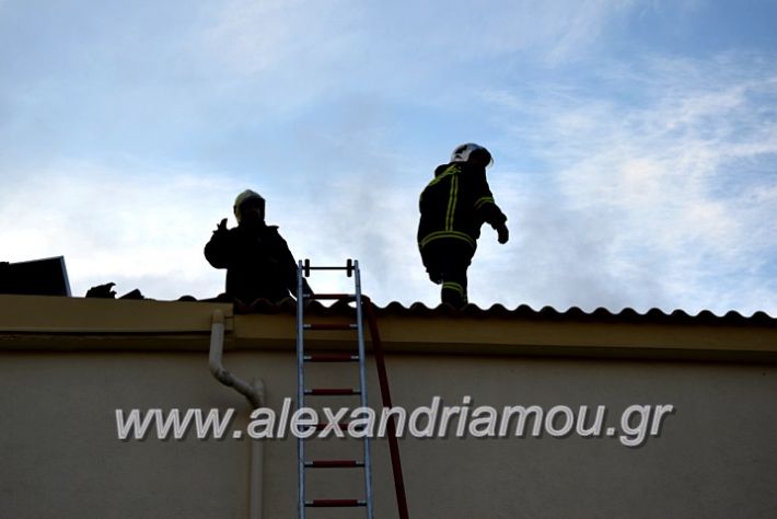 alexandriamou.gr_fotia2711DSC_0073