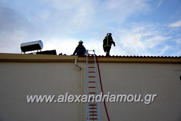 alexandriamou.gr_fotia2711DSC_0077