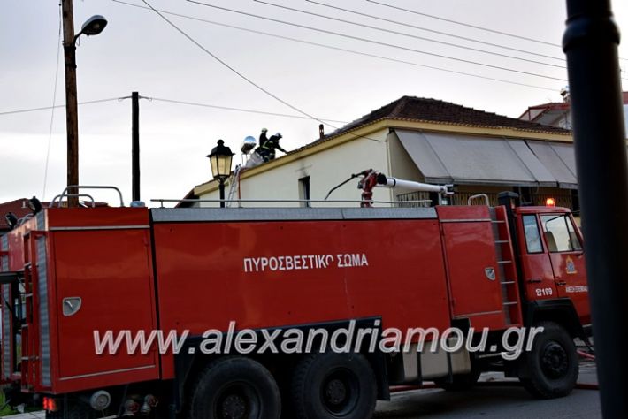 alexandriamou.gr_fotia2711DSC_0083