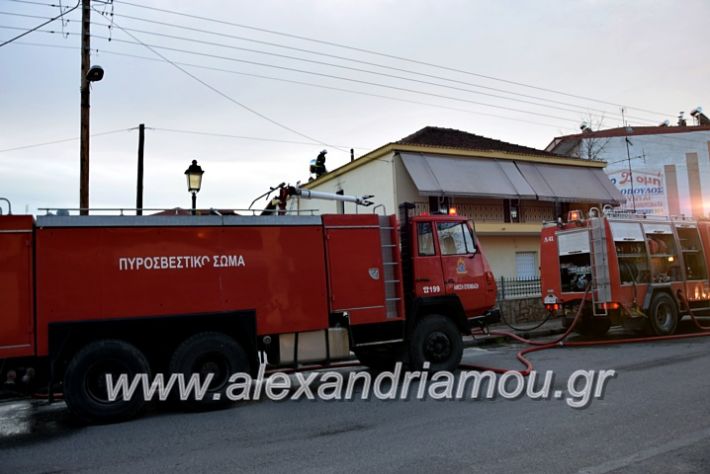 alexandriamou.gr_fotia2711DSC_0085