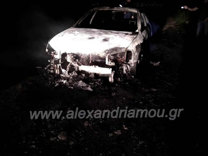 alexandriamou.gr_fotia30.520118622445_992090681283437_4425027929634994287_n