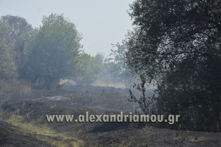 fotia_agia_kyriaki040