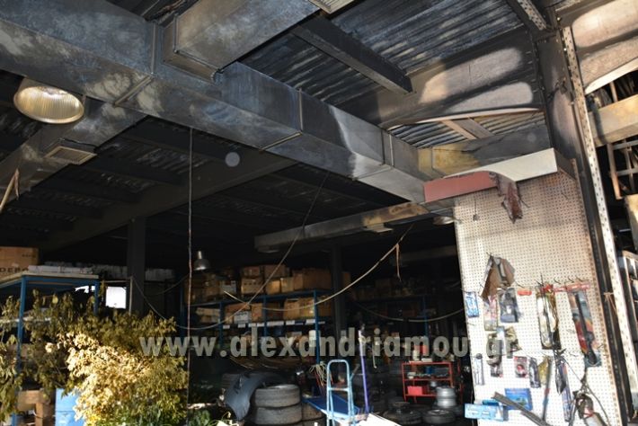 alexandriamou_fotia_antonou011