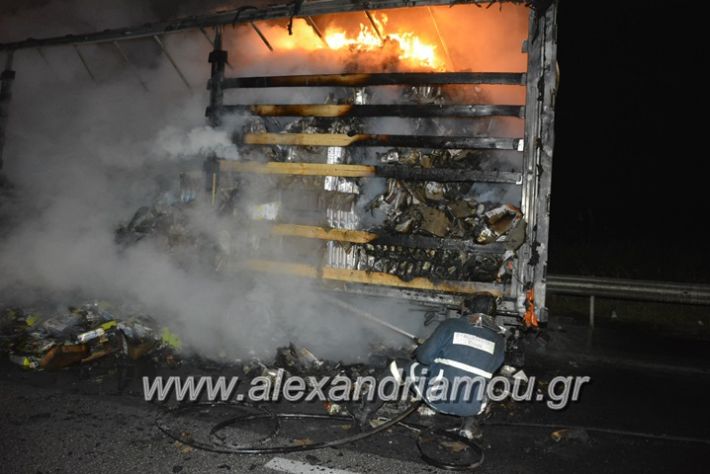 alexandriamou_fotia_ntalika13