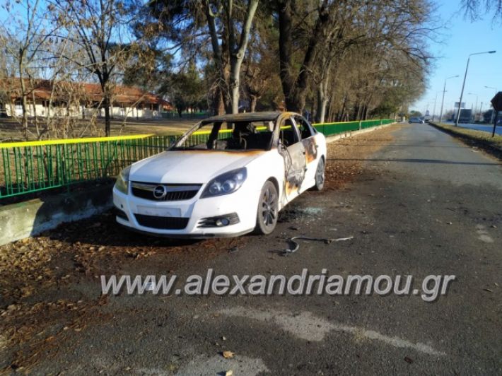 alexandriamou.gr_amaksifotia28.12.18010