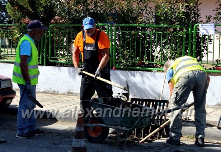 alexandriamou.gr_freatia25.9.20IMG_0404