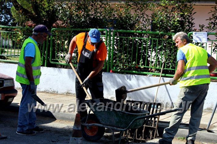 alexandriamou.gr_freatia25.9.20IMG_0405