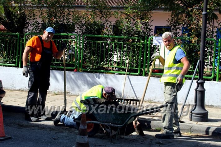 alexandriamou.gr_freatia25.9.20IMG_0406