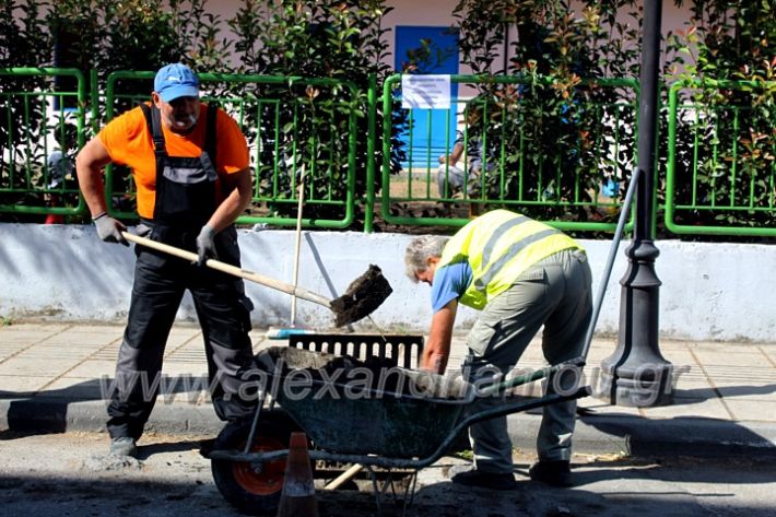 alexandriamou.gr_freatia25.9.20IMG_0409