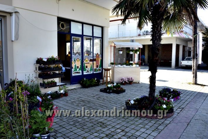 alexandriamou.gr_futa010