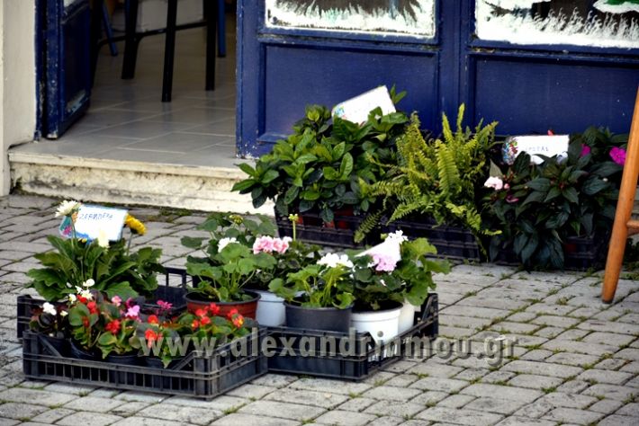 alexandriamou.gr_futa017